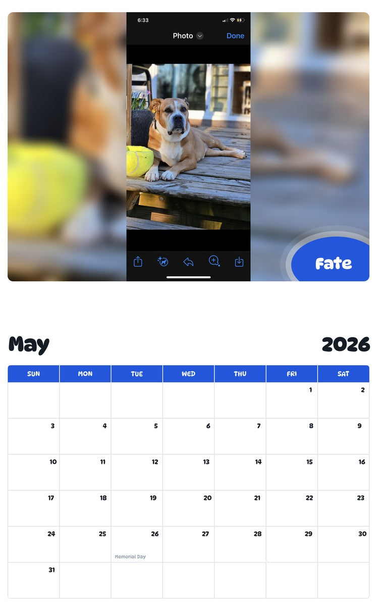 2026 - 2027 Fate - Pawidols Pet Calendar