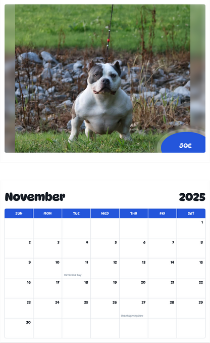 July 2025 - June 2026 Joe - Pawidols Pet Calendar