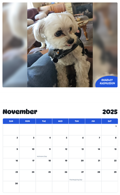 July 2025 - June 2026 Beazley Rasmussen - Pawidols Pet Calendar