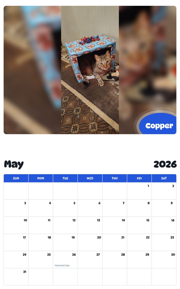 2026 - 2027 Copper - Pawidols Pet Calendar