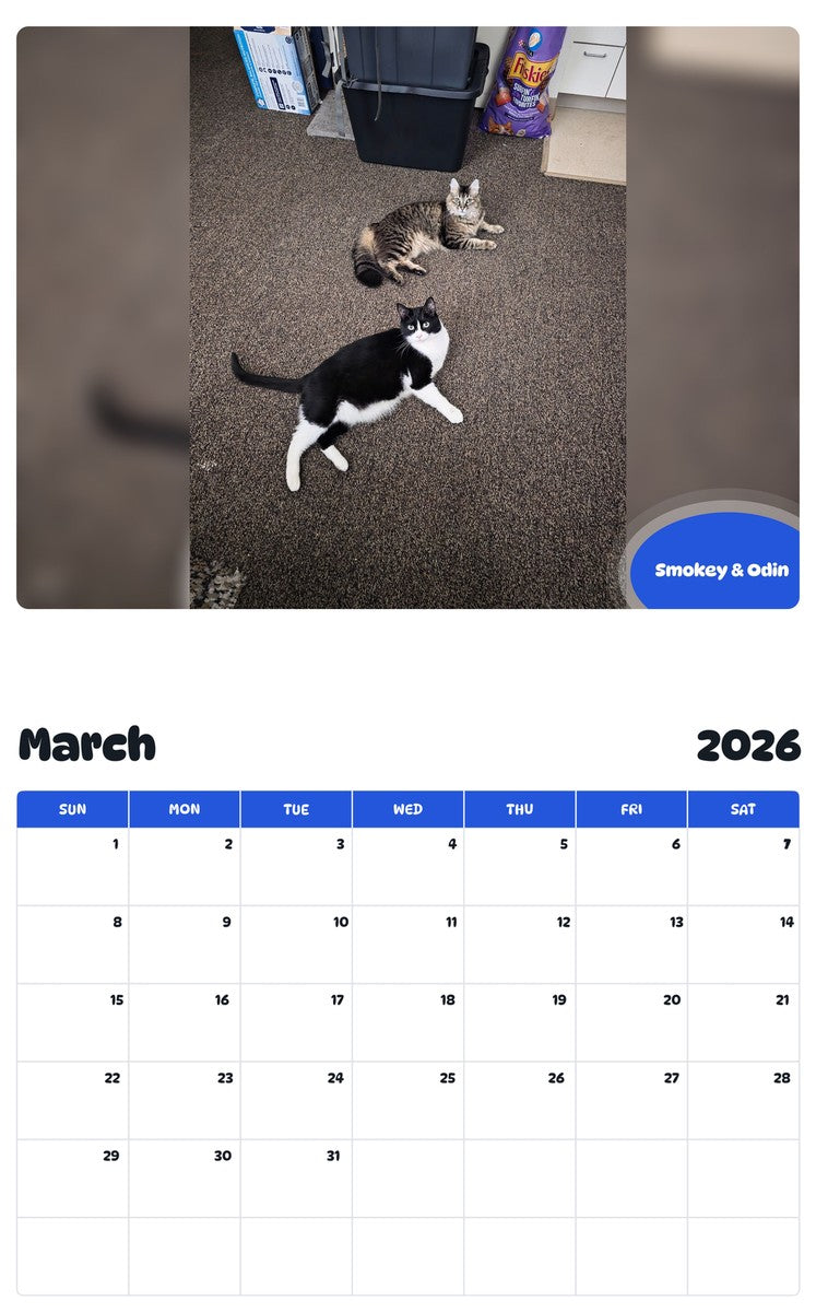November 2025 - October 2026 Smokey & Odin - Pawidols Pet Calendar