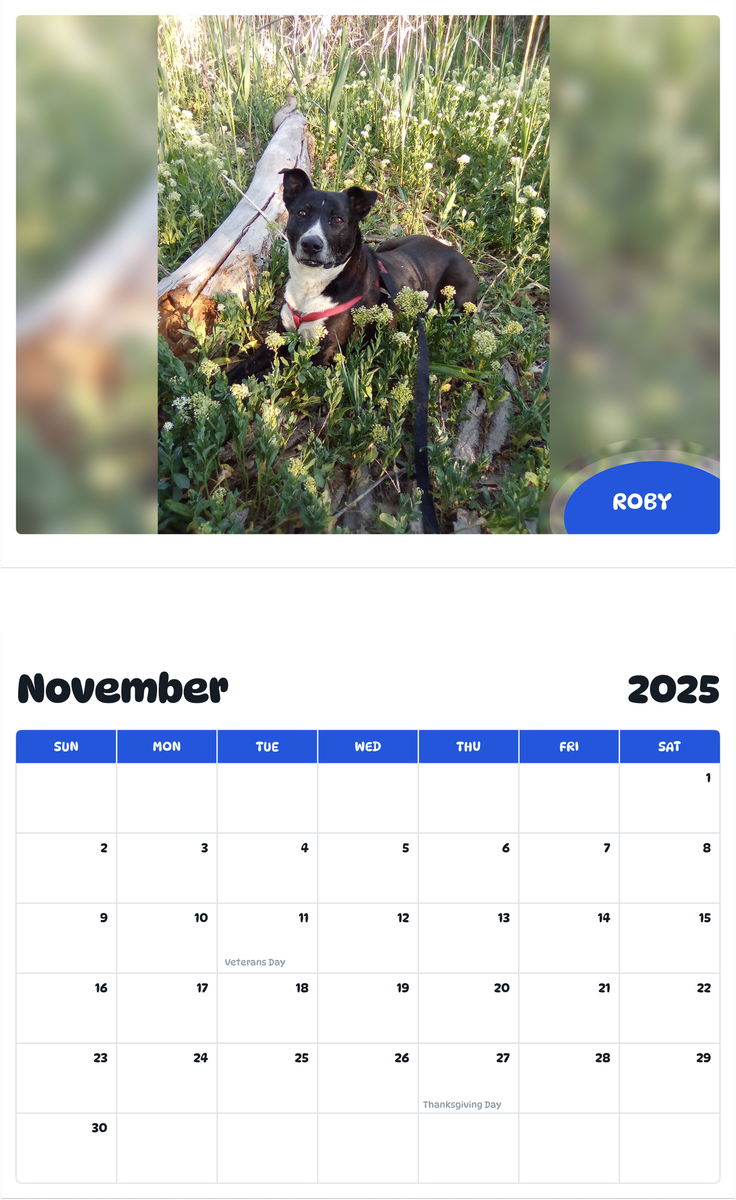 July 2025 - June 2026 Roby - Pawidols Pet Calendar