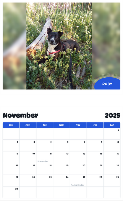 July 2025 - June 2026 Roby - Pawidols Pet Calendar
