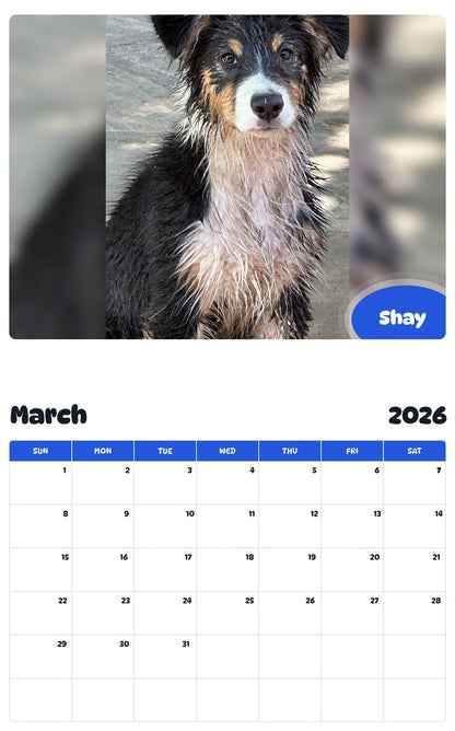 November 2025 - October 2026 Shay - Pawidols Pet Calendar