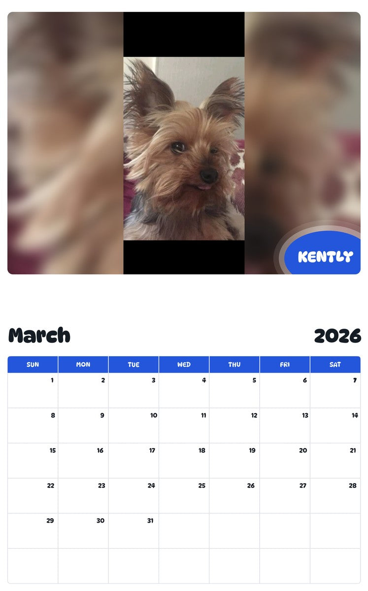 November 2025 - October 2026 KENTLY - Pawidols Pet Calendar