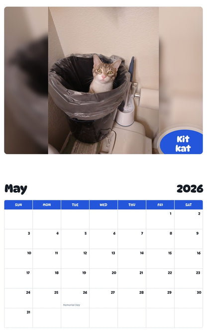 2026 - 2027 Kit kat - Pawidols Pet Calendar