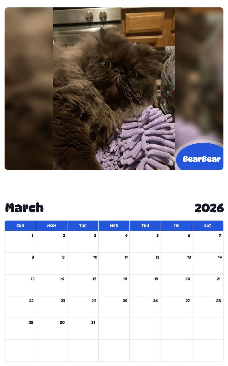 November 2025 - October 2026 BearBear - Pawidols Pet Calendar