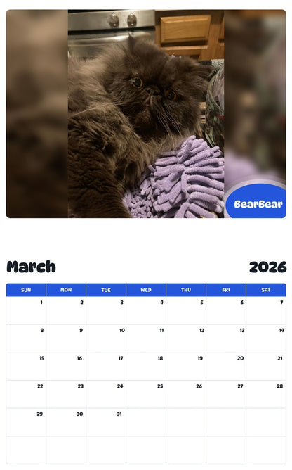 November 2025 - October 2026 BearBear - Pawidols Pet Calendar
