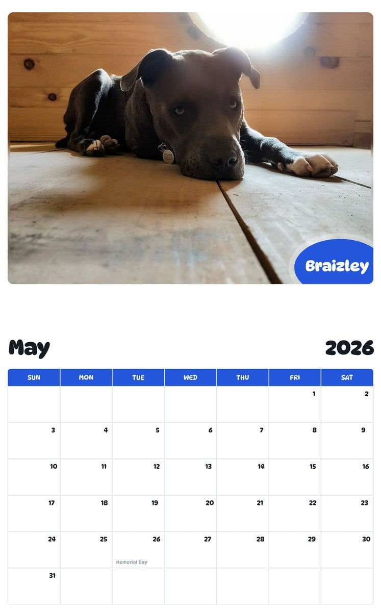 2026 - 2027 Braizley - Pawidols Pet Calendar