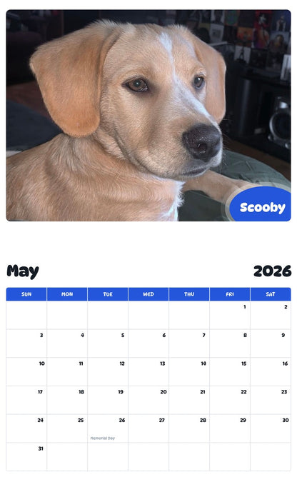 2026 - 2027 Scooby - Pawidols Pet Calendar