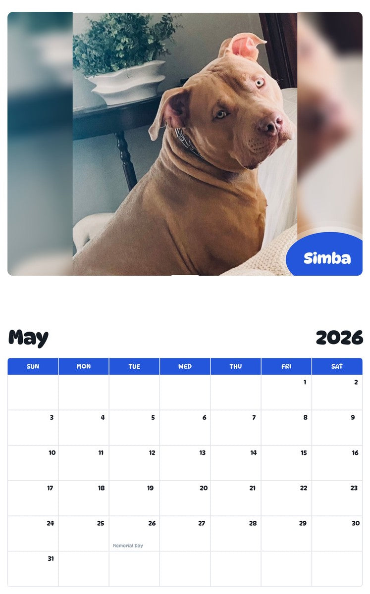 2026 - 2027 Simba - Pawidols Pet Calendar