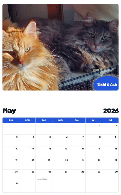 2026 - 2027 Tikki & Ash - Pawidols Pet Calendar