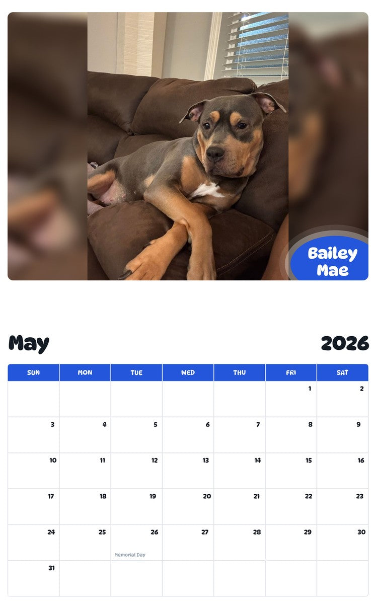 2026 - 2027 Bailey Mae - Pawidols Pet Calendar