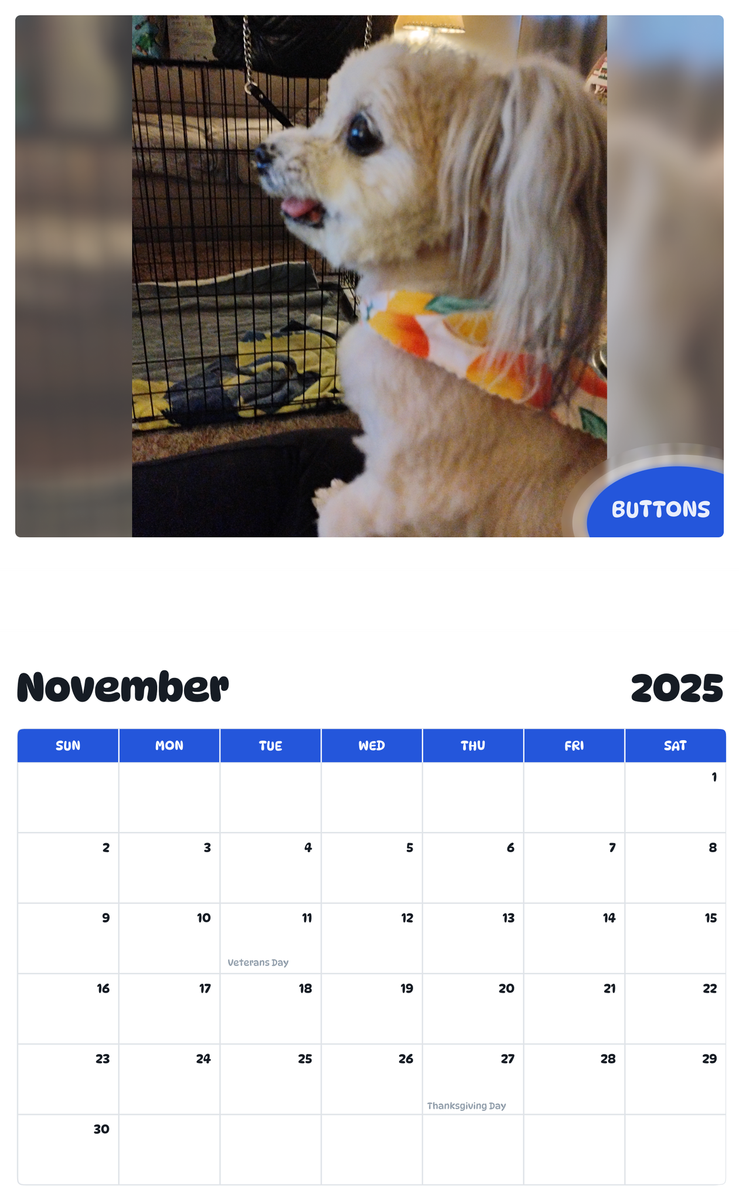 July 2025 - June 2026 Buttons - Pawidols Pet Calendar
