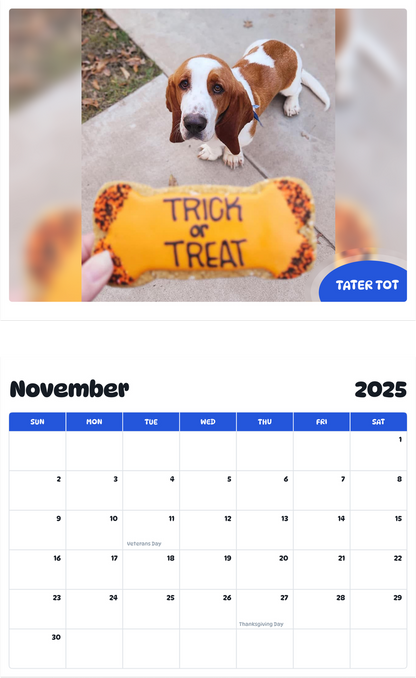 July 2025 - June 2026 Tater Tot - Pawidols Pet Calendar