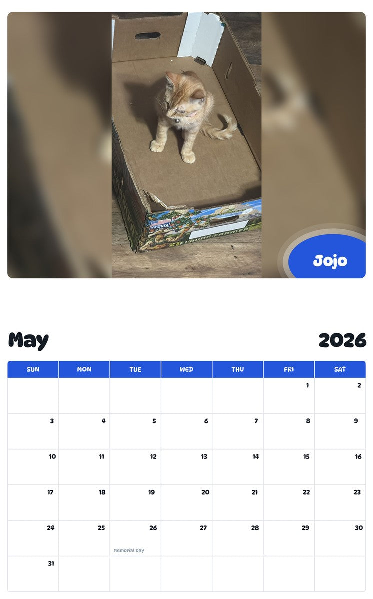 2026 - 2027 Jojo - Pawidols Pet Calendar