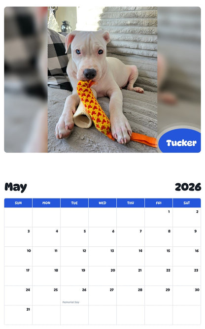 2026 - 2027 Tucker - Pawidols Pet Calendar