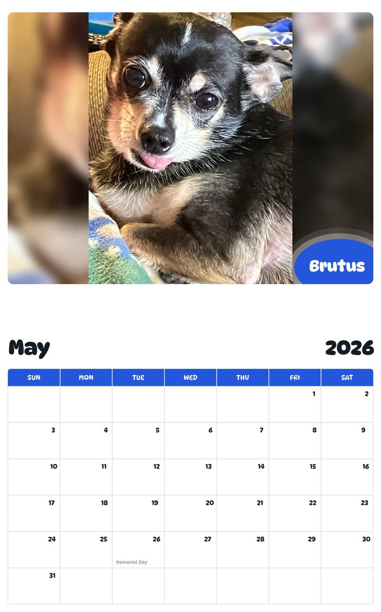 2026 - 2027 Brutus - Pawidols Pet Calendar
