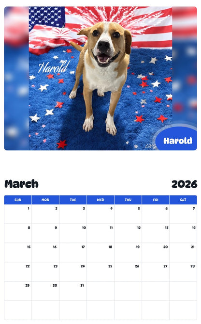 November 2025 - October 2026 Harold - Pawidols Pet Calendar