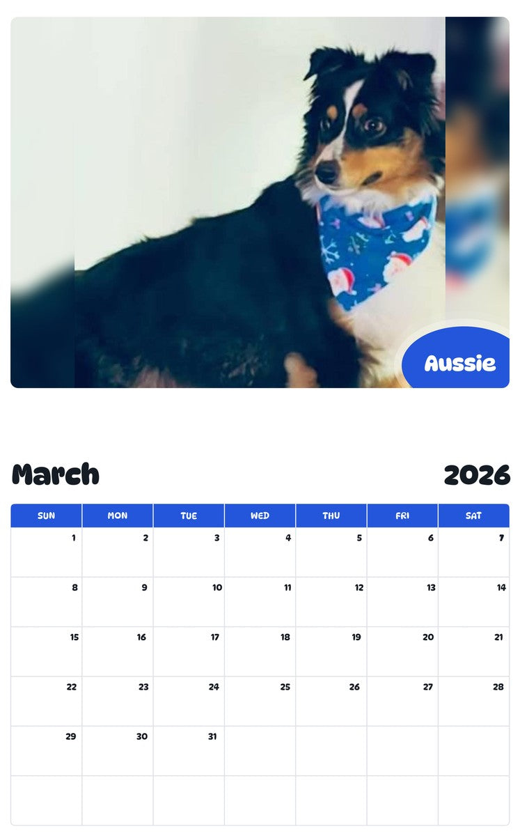 November 2025 - October 2026 Aussie - Pawidols Pet Calendar