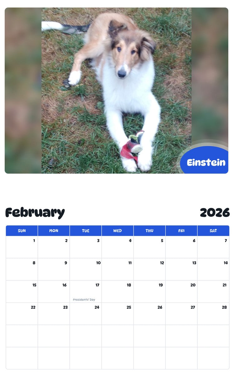 October 2025 - September 2026 Einstein - Pawidols Pet Calendar