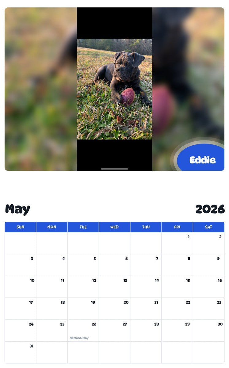 2026 - 2027 Eddie - Pawidols Pet Calendar