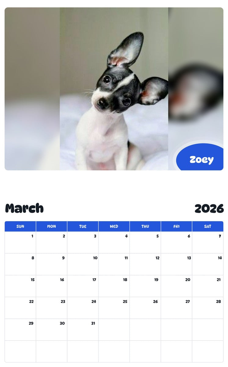 November 2025 - October 2026 Zoey - Pawidols Pet Calendar