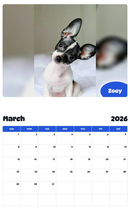 November 2025 - October 2026 Zoey - Pawidols Pet Calendar