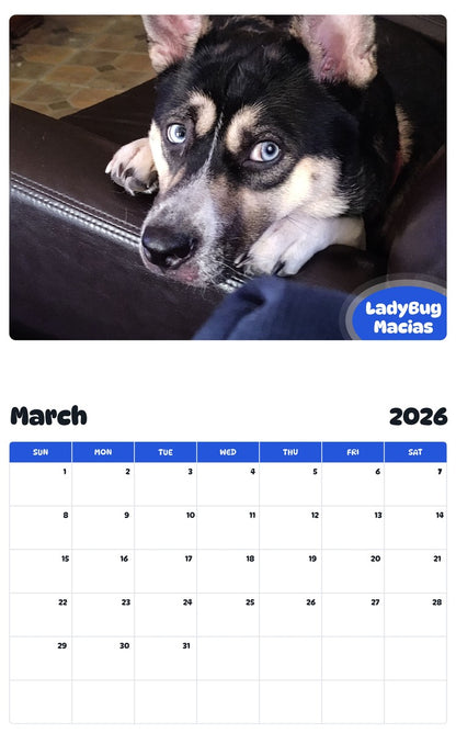 November 2025 - October 2026 LadyBug Macias - Pawidols Pet Calendar