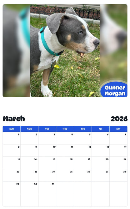 November 2025 - October 2026 Gunner Morgan - Pawidols Pet Calendar