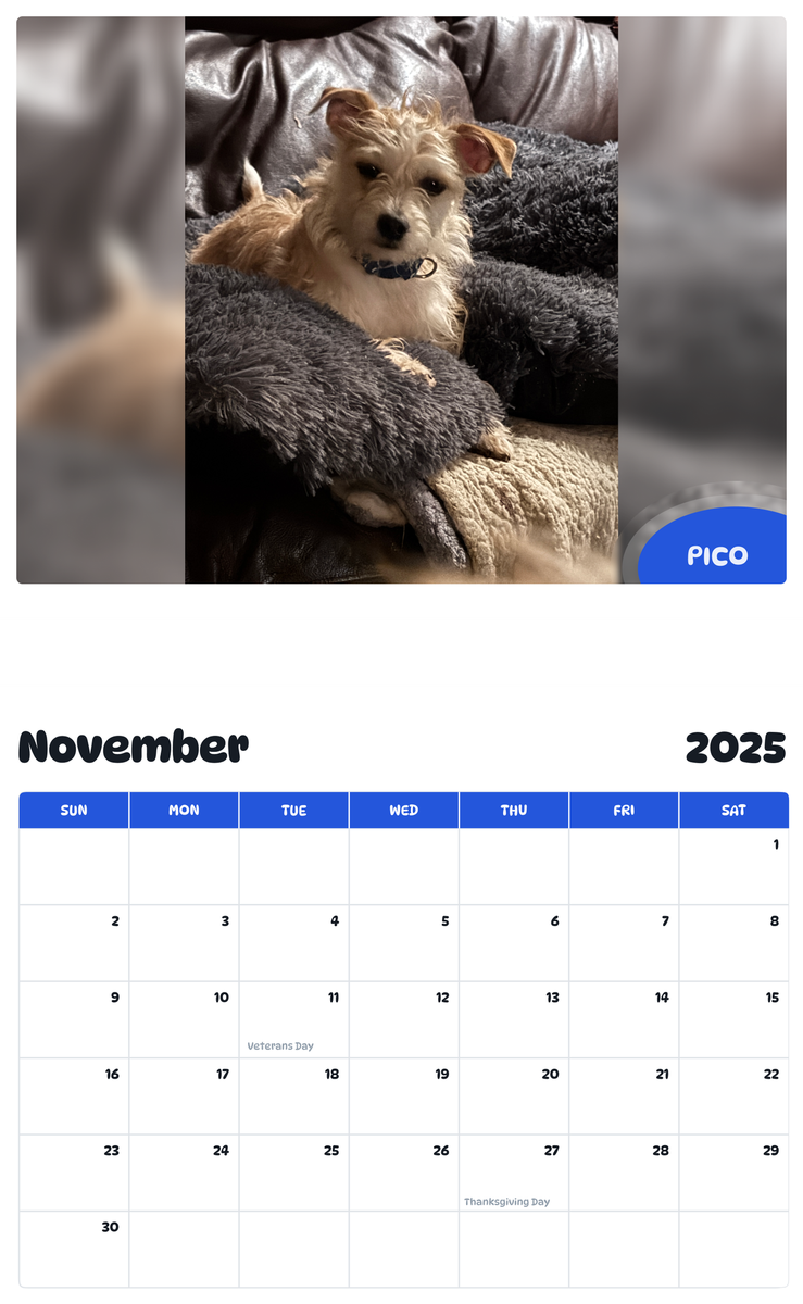 July 2025 - June 2026 Pico - Pawidols Pet Calendar