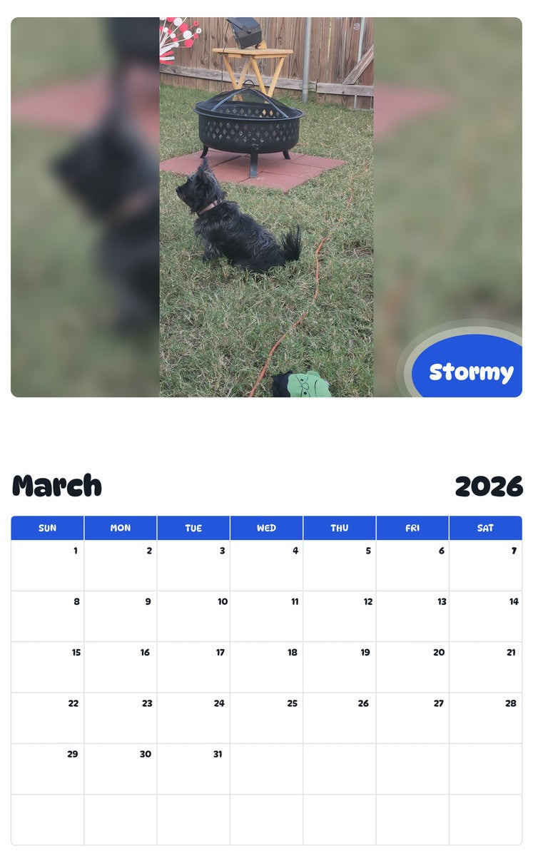 November 2025 - October 2026 Stormy - Pawidols Pet Calendar