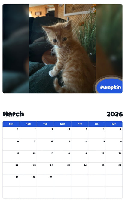 November 2025 - October 2026 Pumpkin - Pawidols Pet Calendar