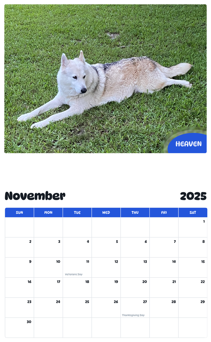July 2025 - June 2026 Heaven - Pawidols Pet Calendar