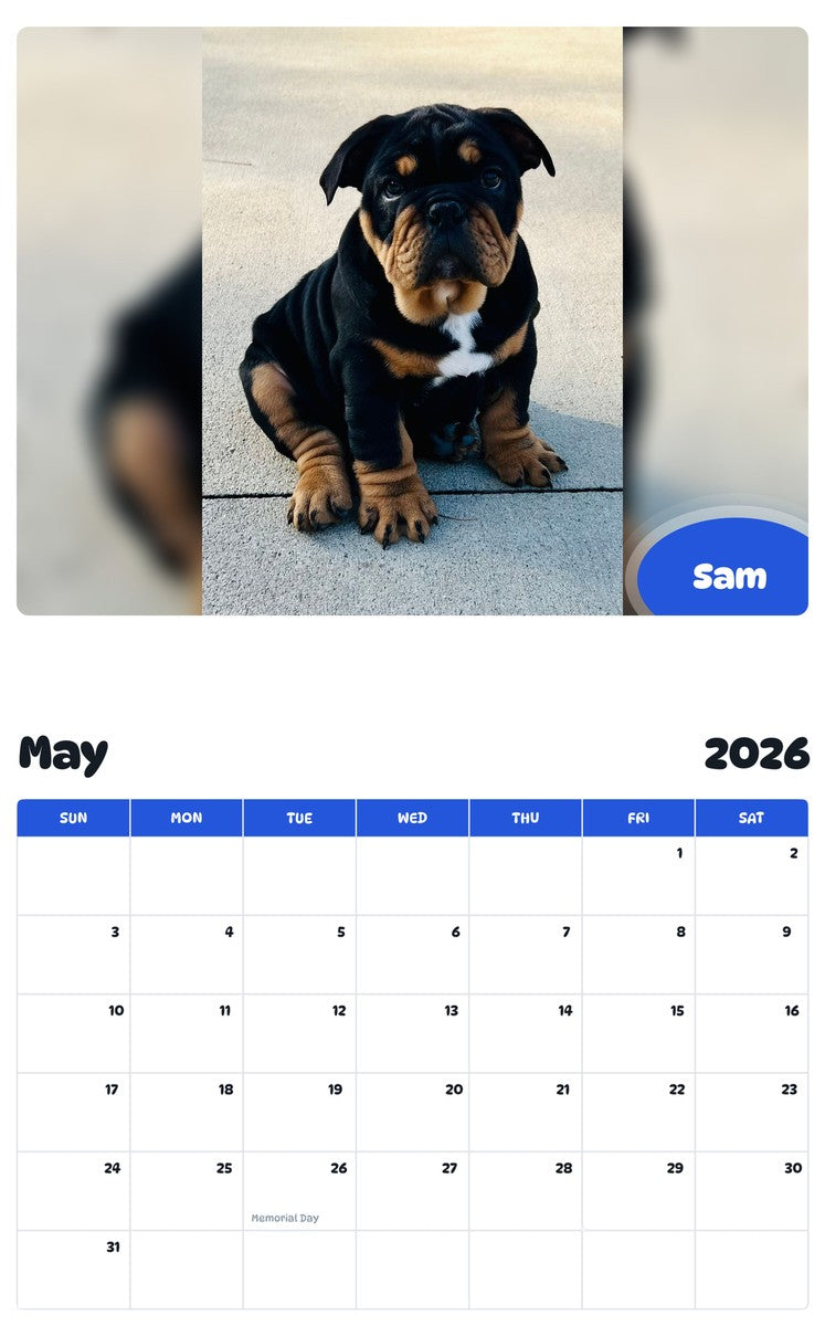 2026 - 2027 Sam - Pawidols Pet Calendar