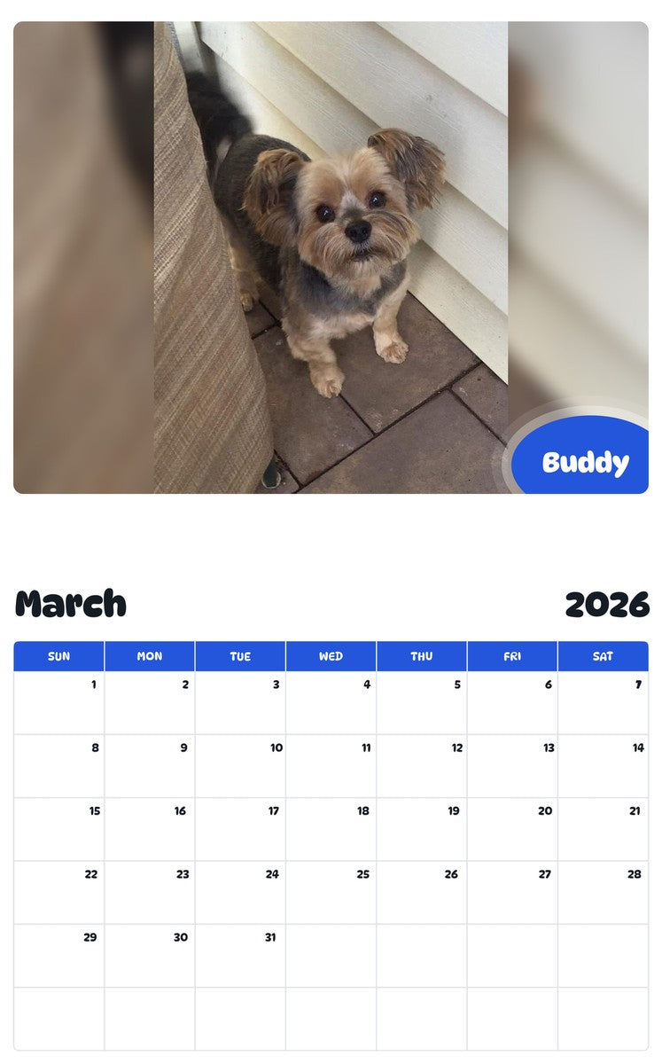 November 2025 - October 2026 Buddy - Pawidols Pet Calendar