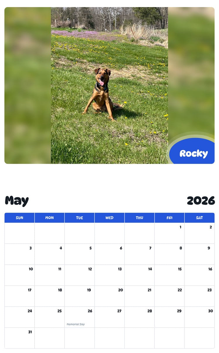 2026 - 2027 Rocky - Pawidols Pet Calendar