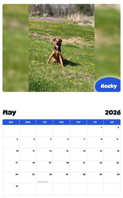 2026 - 2027 Rocky - Pawidols Pet Calendar