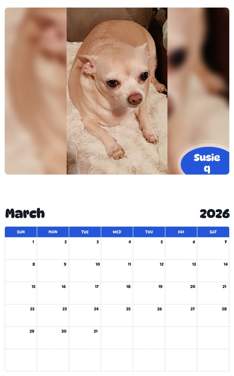 November 2025 - October 2026 Susie q - Pawidols Pet Calendar