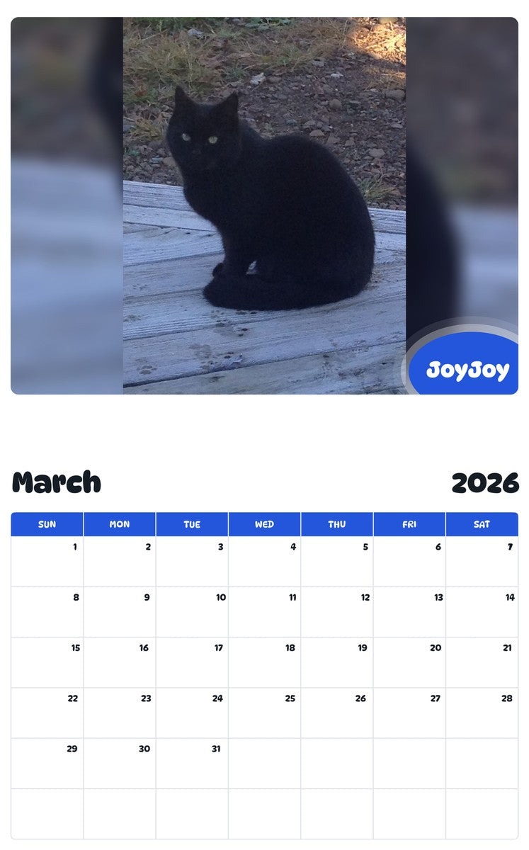 November 2025 - October 2026 JoyJoy - Pawidols Pet Calendar