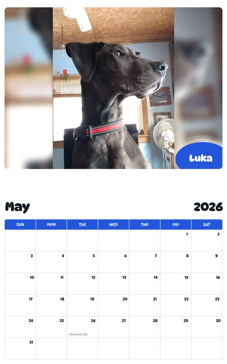 2026 - 2027 Luka - Pawidols Pet Calendar