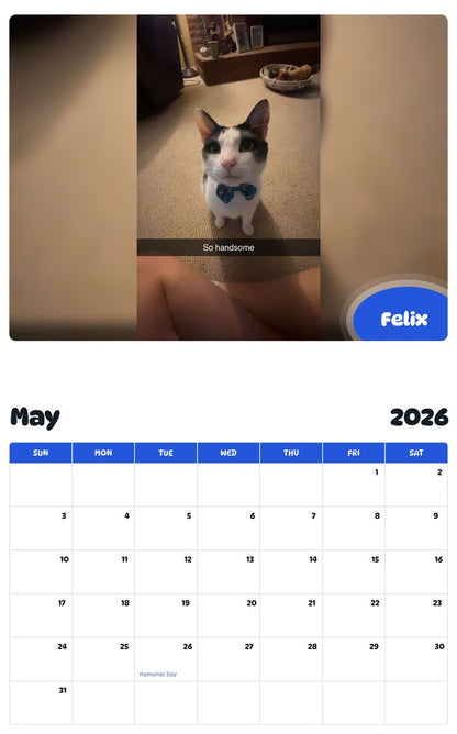 2026 - 2027 Felix - Pawidols Pet Calendar
