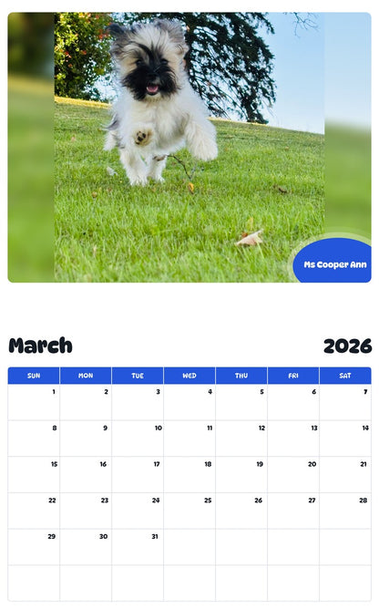 November 2025 - October 2026 Ms Cooper Ann - Pawidols Pet Calendar