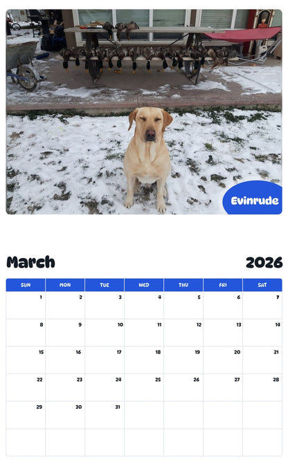 November 2025 - October 2026 Evinrude - Pawidols Pet Calendar