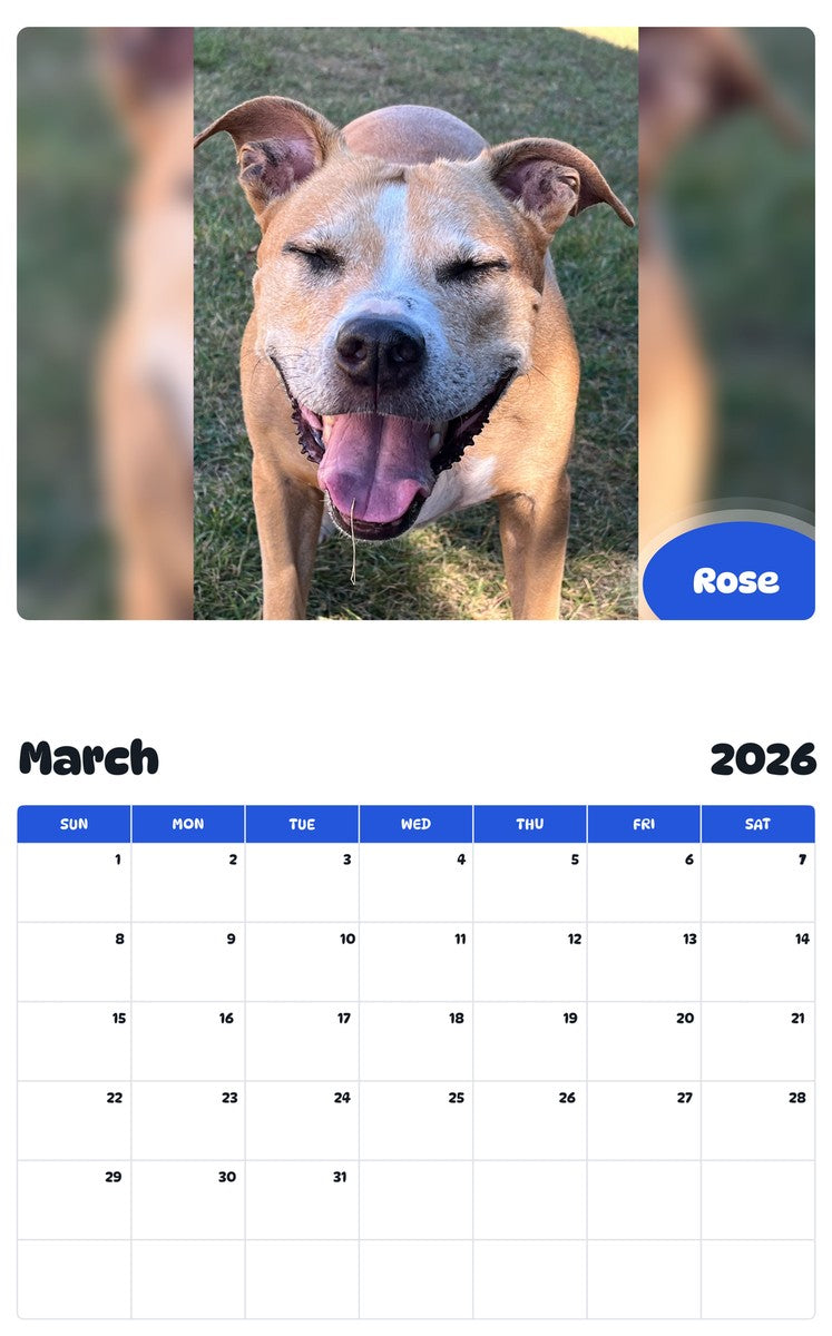 November 2025 - October 2026 Rose - Pawidols Pet Calendar