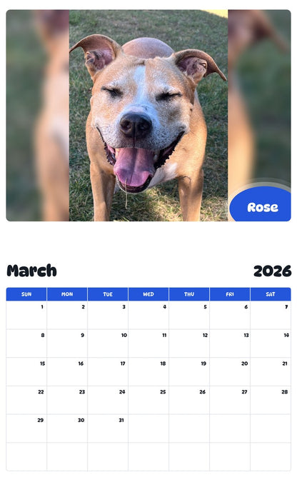 November 2025 - October 2026 Rose - Pawidols Pet Calendar