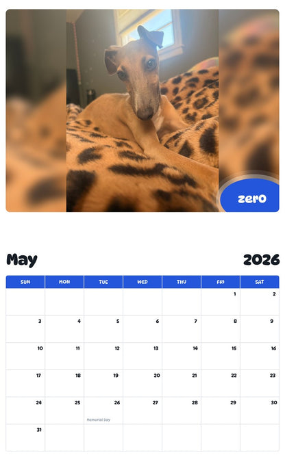 2026 - 2027 zer0 - Pawidols Pet Calendar