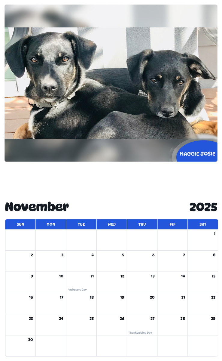 July 2025 - June 2026 Maggie Josie - Pawidols Pet Calendar