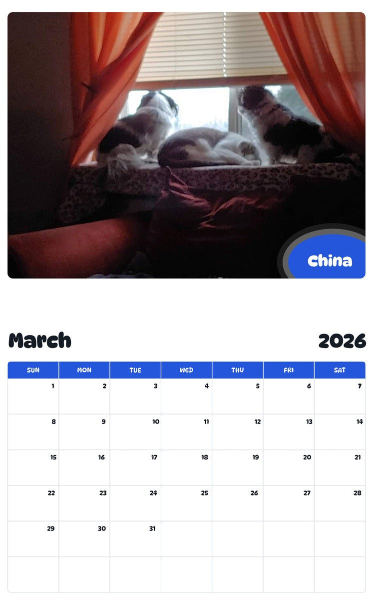 November 2025 - October 2026 China - Pawidols Pet Calendar