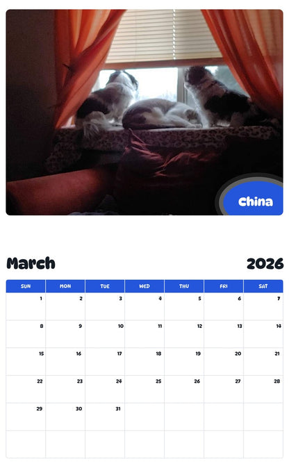 November 2025 - October 2026 China - Pawidols Pet Calendar
